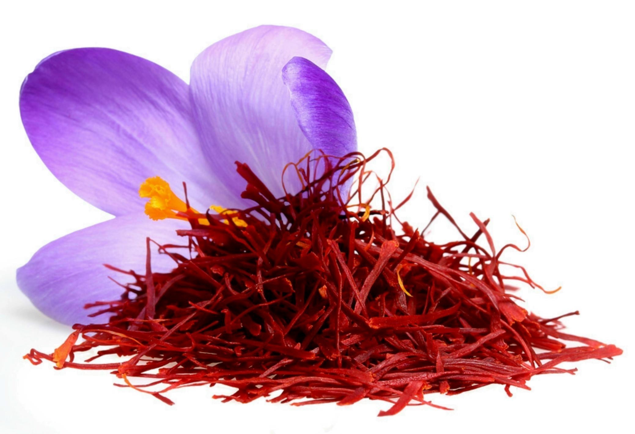 پش بینی برداشت بیش از ۳هزار تن گل از مزارع زعفران زاوه