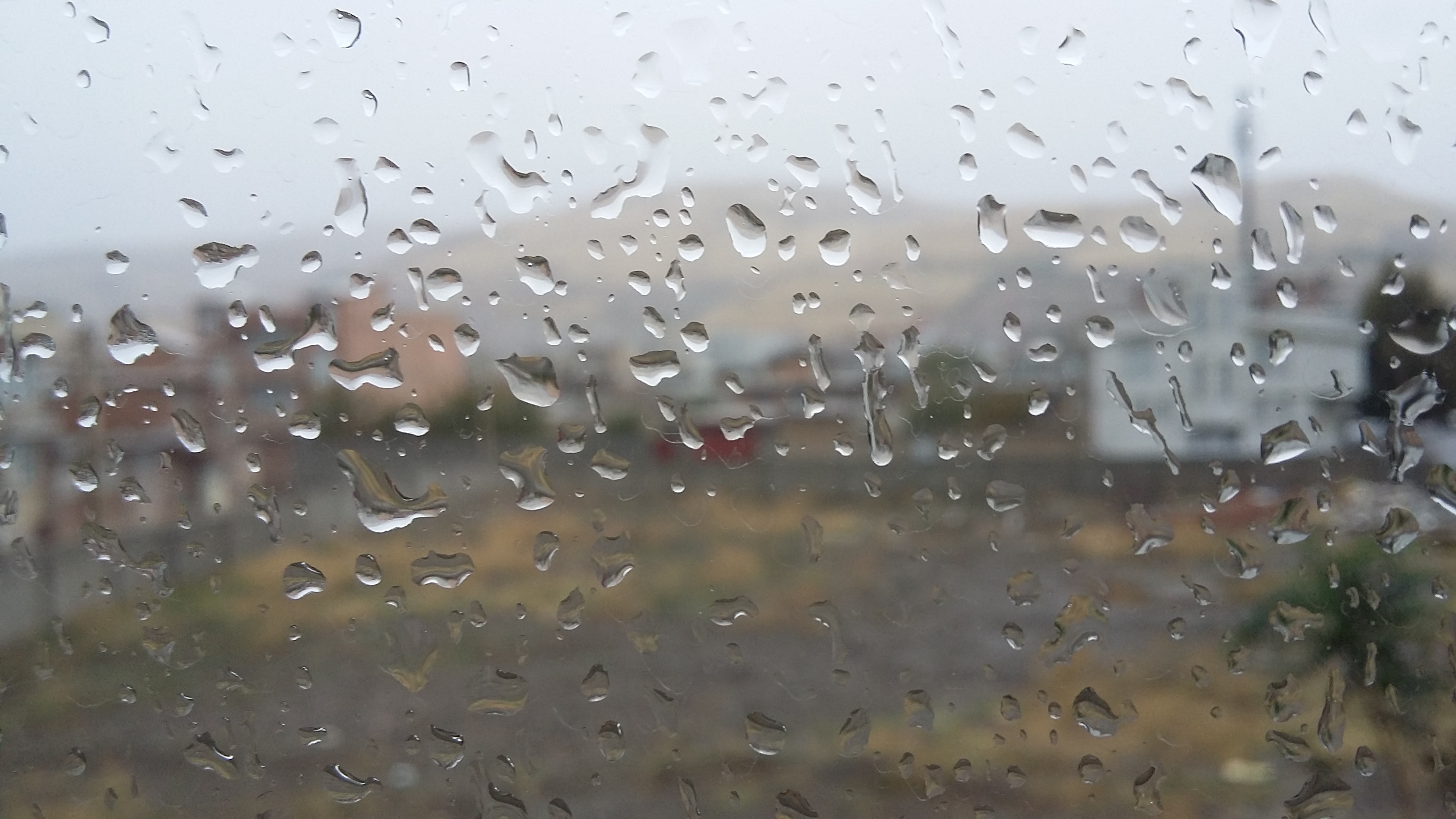 بارش پراکنده در نوار شمالی کشور