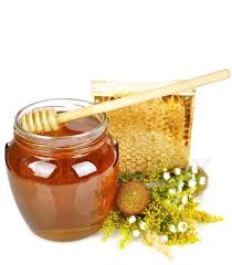 تولید ۱۱ هزار تن عسل در خوی طی سال جاری