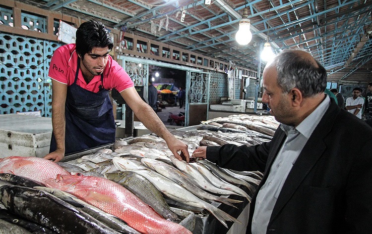 اختلاف ۱۵۰ درصدی قیمت ماهی از مزرعه تا بازار
