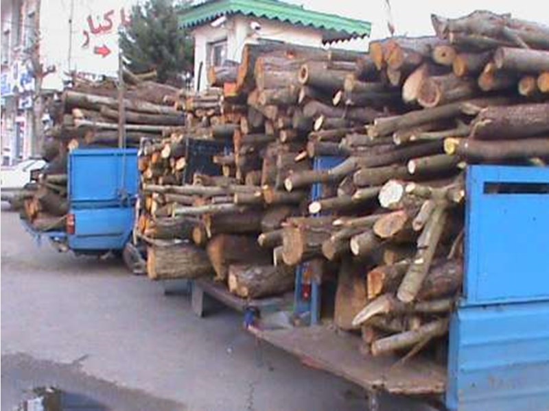 کشف چوب قاچاق در زنجان