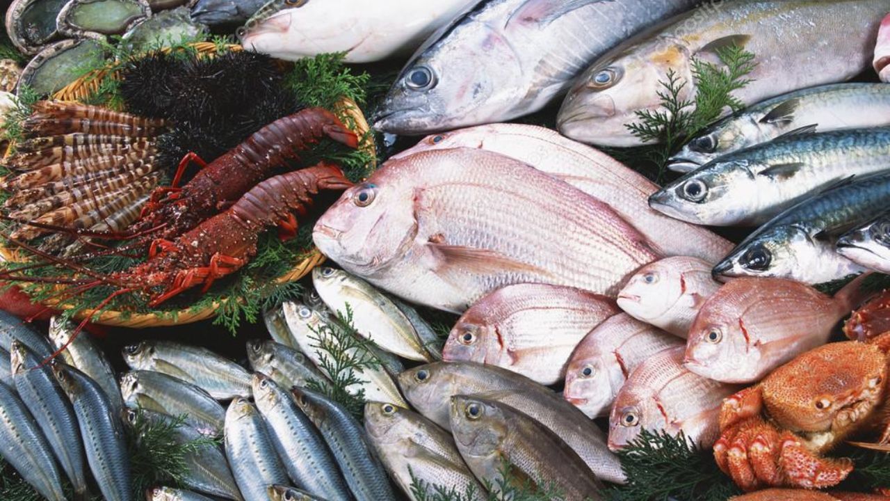 سرانه مصرف محصولات دریایی افزایش می یابد