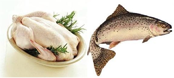 قیمت هر کیلو ماهی سالمون نروژ ۱۷۵ هزار تومان