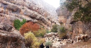 طبیعت‌‌گردی در استان فارس