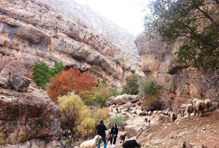 روستای کهکران مقصدی جذاب برای طبیعت‌‌گردی در استان فارس