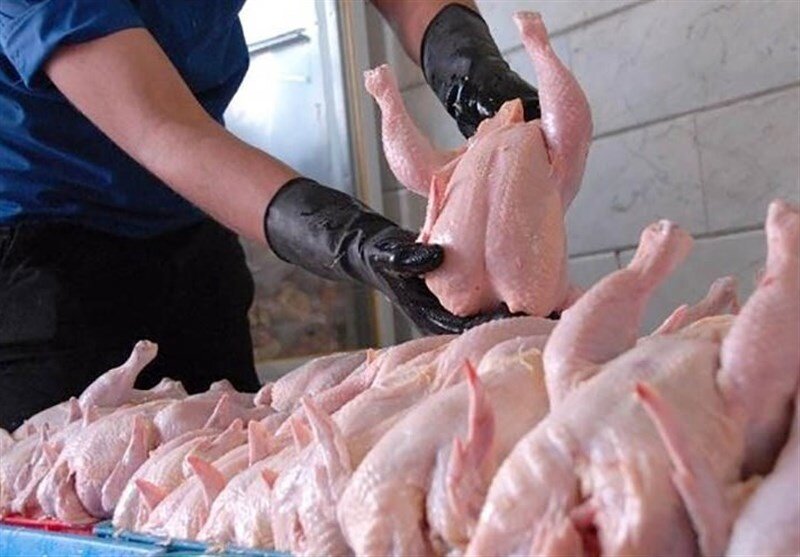رشد خزنده قیمت مرغ در بازار