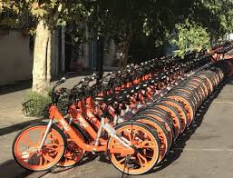 حمایت شهرداری از شرکت‌های خصوصی دوچرخه اشتراکی