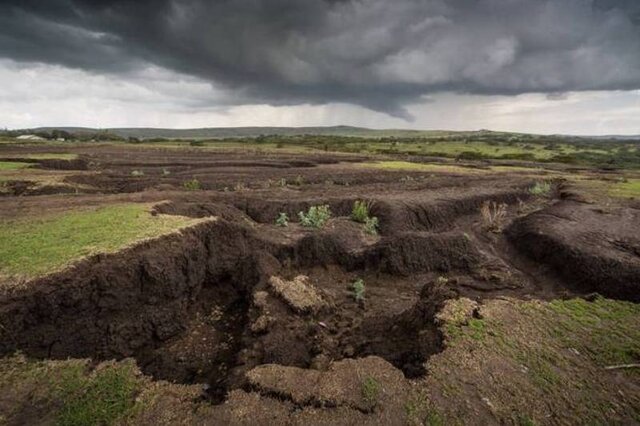 تشکیلات خاک در کشور باید تقویت شود