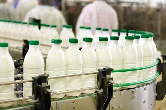 افزایش ۱۵ درصدی تولیدات شیر چهارمحال و بختیاری در سال جاری