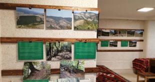 برپایی نمایشگاه عکس «جنگل در جدال»