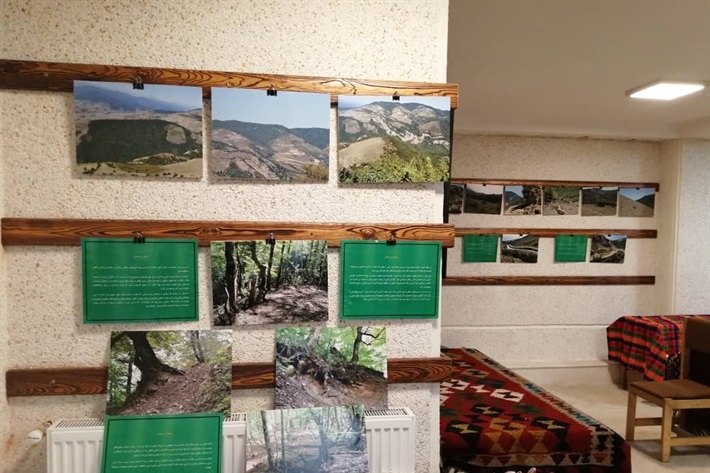 برپایی نمایشگاه عکس «جنگل در جدال» در مازندران