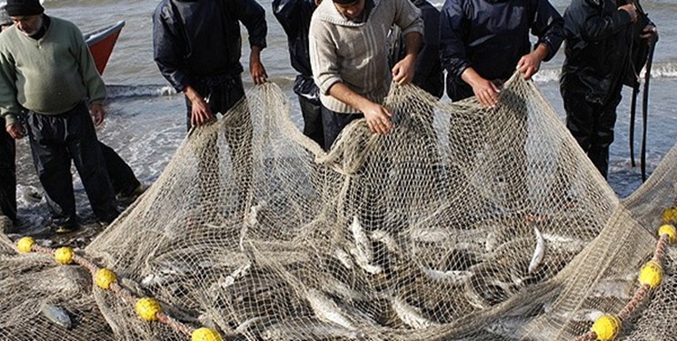 ارز ۴۲۰۰ تومانی برای واردات «تخم ماهی چشم زده» حذف شد