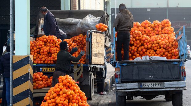 ذخیره ۶۰ هزارتن سیب و پرتقال برای شب عید