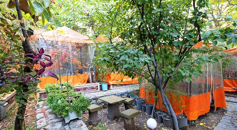 رستوران باغ ایرانی ویژه پکیج روزعشق و روز مادر با ۴۰درصد تخفیف