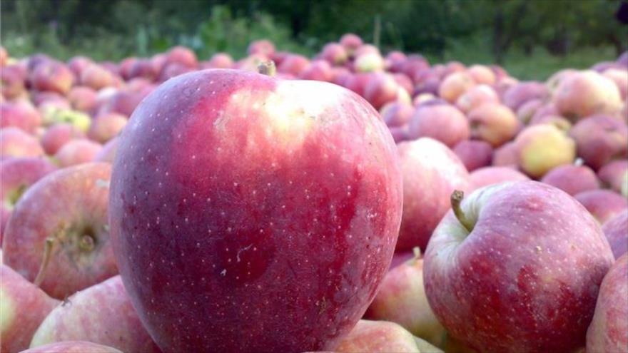 ذخیره ۵۰۰۰ تن سیب در سردخانه‌های بروجرد