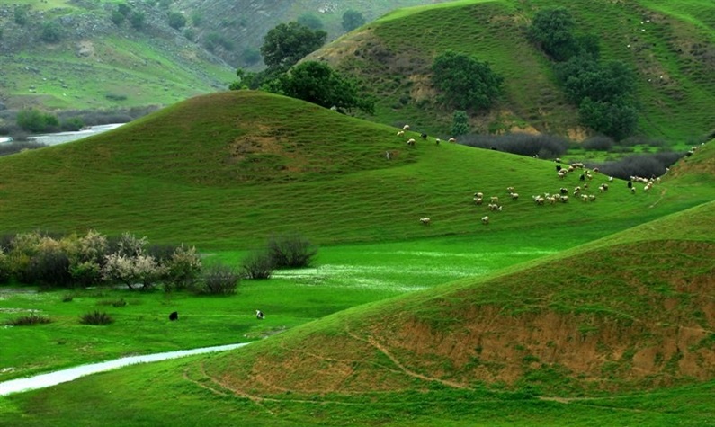 برندسازی گردشگری در دستور کار اداره‌کل چهارمحال و بختیاری