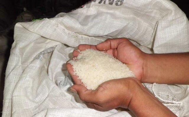 واردات ۱.۴ میلیون تن برنج در ۱۱ ماهه امسال