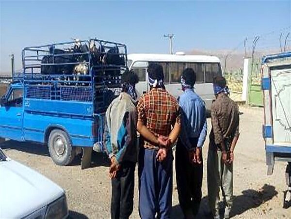 دستگیری باند سارقان مسلح احشام در استان مرکزی