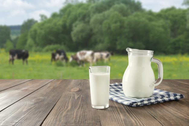 تولید شیر خام به ۱۱ میلیون تن می‌رسد