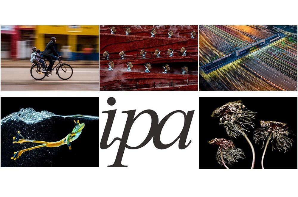 شش برنده مسابقه عکاسی IPA معرفی شدند