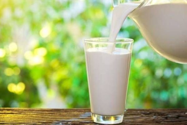 نامه دامداران به جهانگیری در اعتراض به نرخ شیرخام