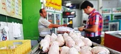 گران فروشی مرغ تایید شد