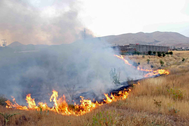 کاهش ۶۰ درصدی آتش‌سوزی مراتع اسدآباد