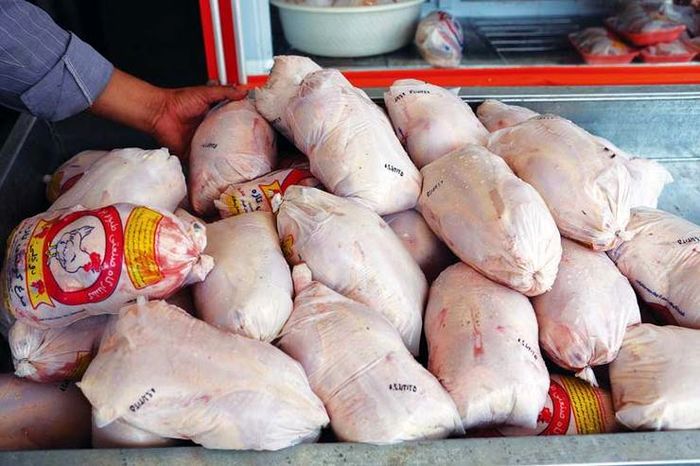 فروش مرغ بالاتر از قیمت ۲۰۴۰۰ تخلف است