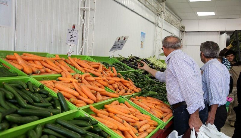 ۳ دلیل گرانی هویج در بازار