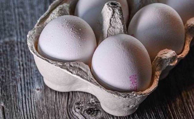 دلال‌بازی دلیل افزایش قیمت تخم‌مرغ