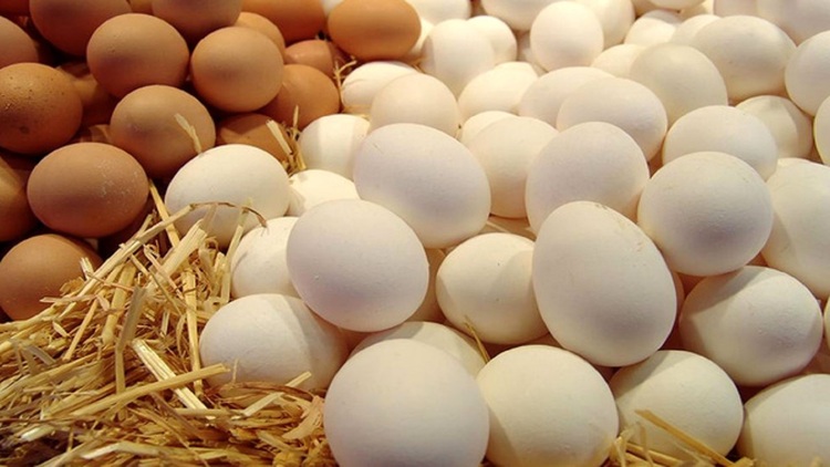 رانت روزانه ۱۶ میلیارد تومانی در بسته‌بندی تخم مرغ