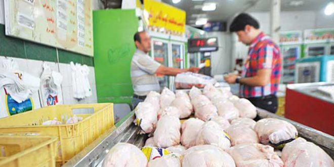 دست های پشت پرده گرانی مرغ در بازار