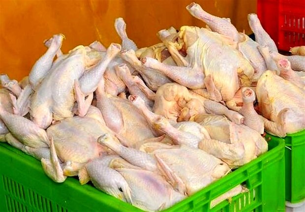 انحراف شدید در توزیع مرغ