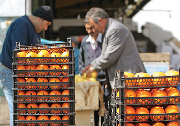 توزیع سیب و پرتقال تنظیم بازار در ۲۶۰ نقطه تهران