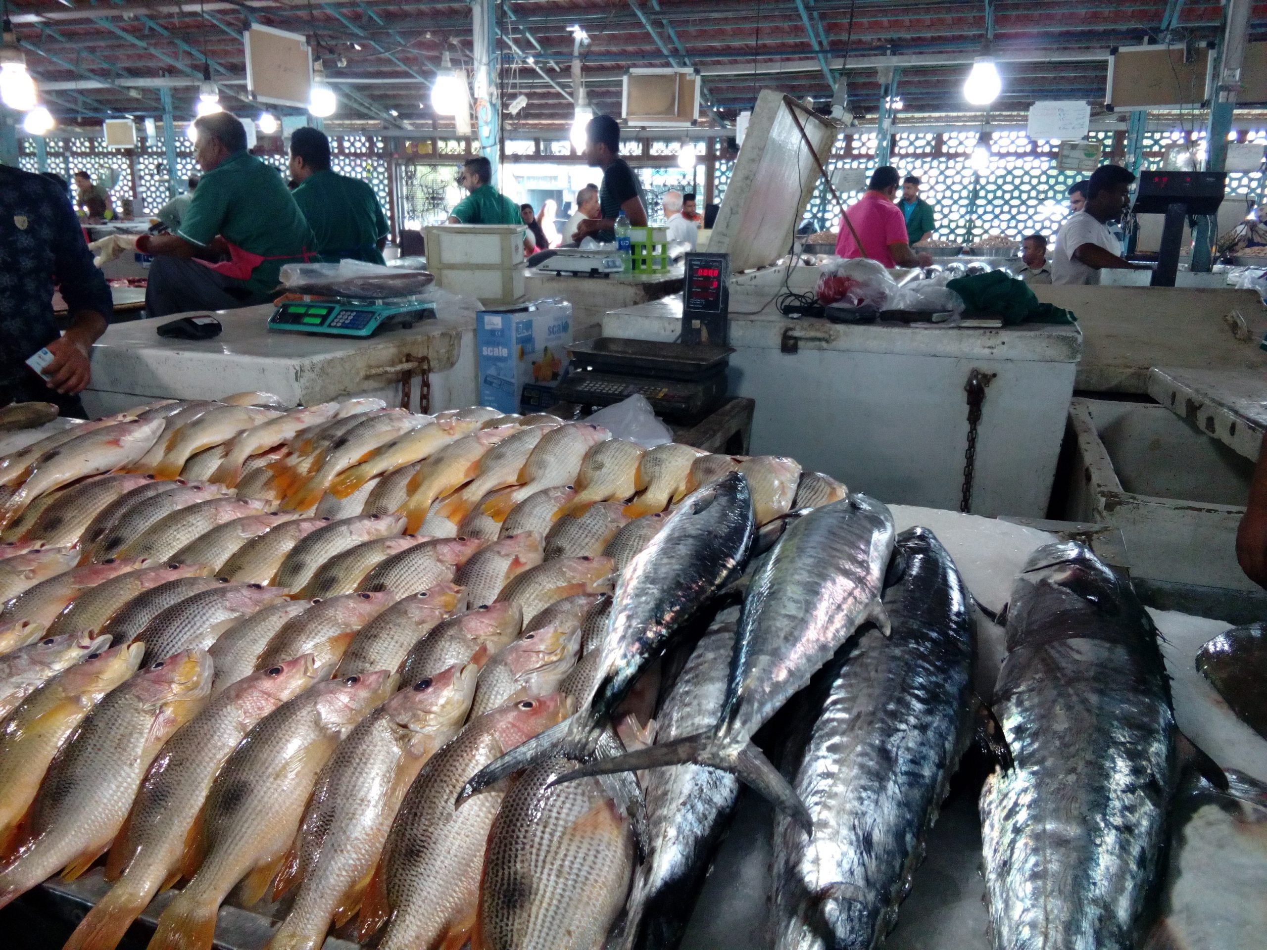 افزایش صد درصدی قیمت ماهی در بازار