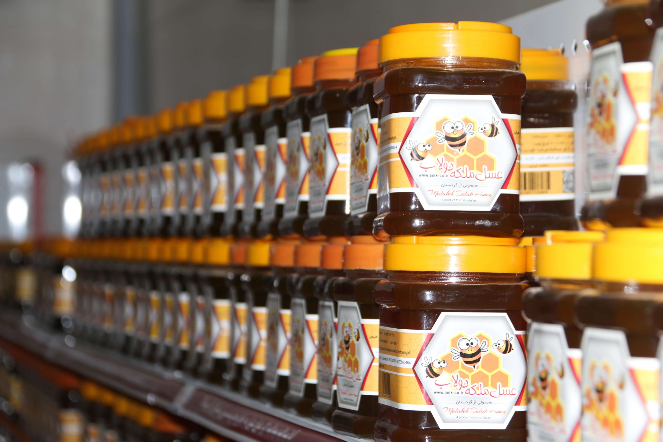 افت محسوس کلونی زنبور عسل/قیمت هر کیلو عسل طبیعی در عمده فروشی ها ۱۰۰ هزار تومان