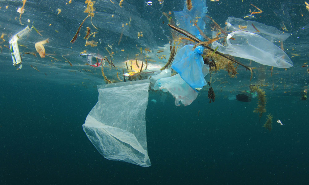 همراهی با روز جهانی محیط زیست، با اندکی پلاستیک کمتر