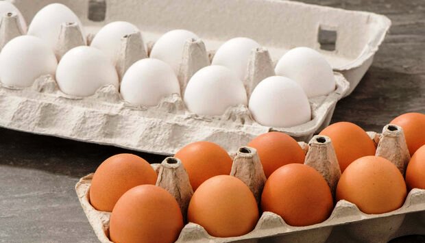 با کمبود تولید مواجه‌ایم/ صادرات تخم مرغ متوقف است