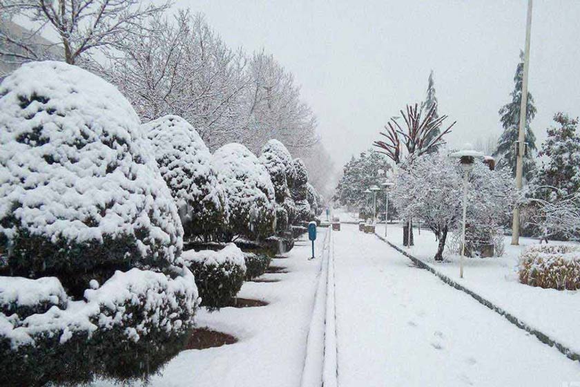 تداوم بارش برف و باران همراه با کاهش دما در نیمه شمالی کشور