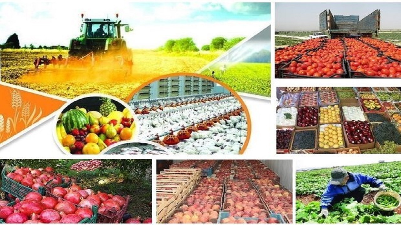 سالانه چقدر محصول کشاورزی ایرانی به دنیا صادر می شود؟