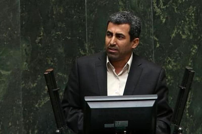 پورابراهیمی: دولت و مجلس در حذف ارز ۴۲۰۰ هم نظر هستند