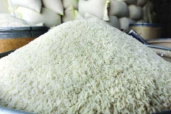 صادرات برنج ایرانی به ۲۷ کشور/متوسط قیمت ۱.۳ دلار