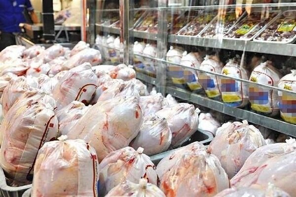 توزیع روزانه ۸ هزار تن مرغ در سراسر کشور