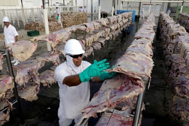 تاثیر محدودیت‌های کرونایی چین برای صادرکنندگان گوشت برزیل