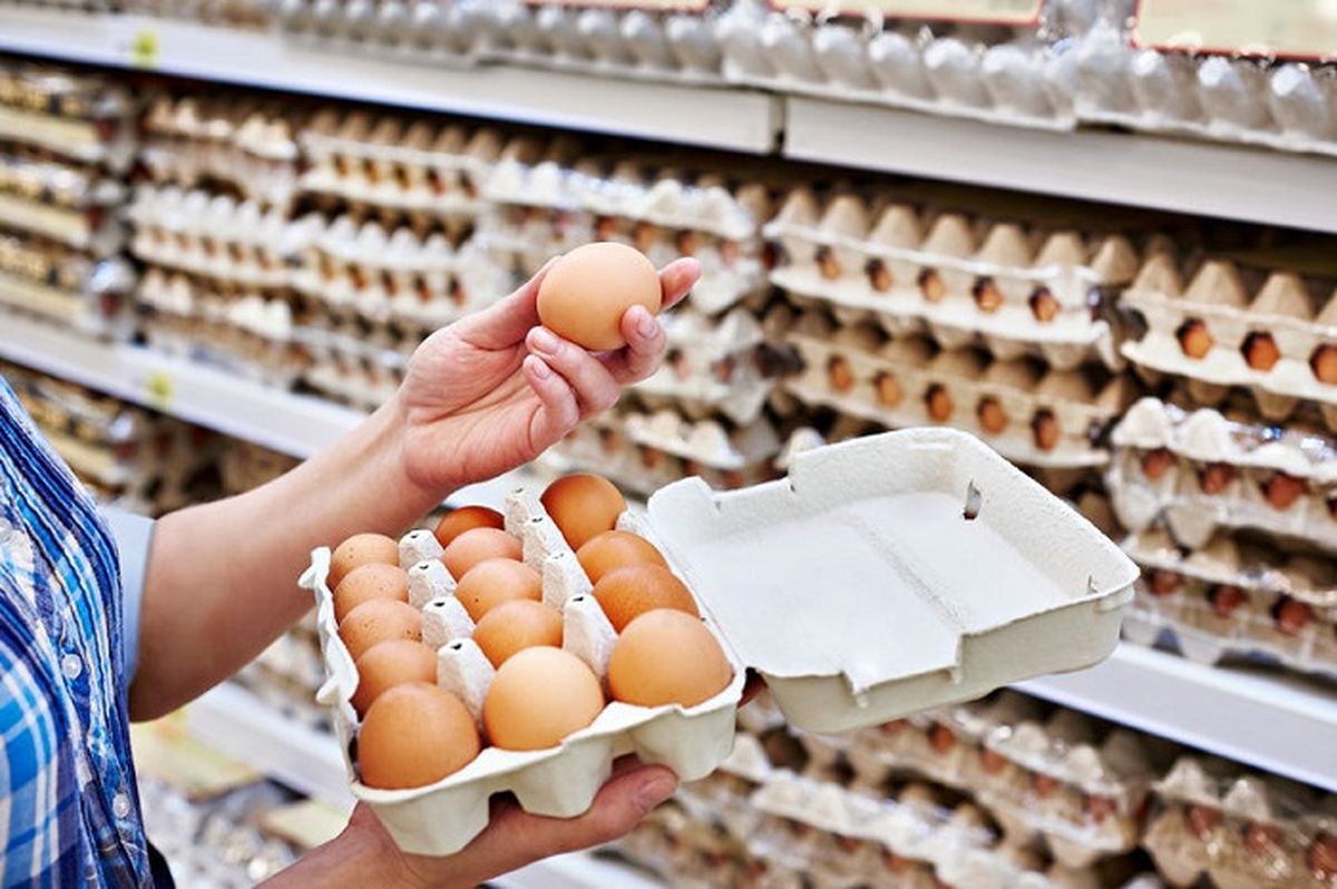 تخم مرغ ۱۰۰ هزار تومانی با قدرت خرید مردم همخوانی ندارد/ ۹ میلیون مرغ تخم‌گذار در خرداد روانه کشتارگاه شد