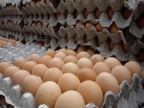 تخم مرغ ارزان شده اما روزی ۱۰۰ تن صادر می شود