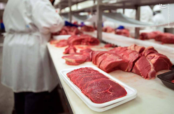 عشایر چهار برابر نیاز وارداتی گوشت قرمز تولید می‌کنند/تداوم گرانی گوشت در بازار