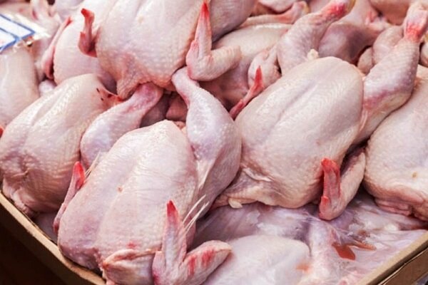 مرغ گرم ۳ تا ۸ هزارتومان کمتر از نرخ مصوب عرضه می شود/ ازدیاد تولید و عرضه؛ علت افت قیمت مرغ