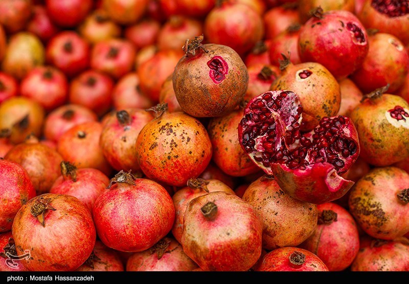 قیمت عمده فروشی انواع میوه در آستانه شب یلدا؛ هندوانه ۵ تا ۱۲ هزار تومان