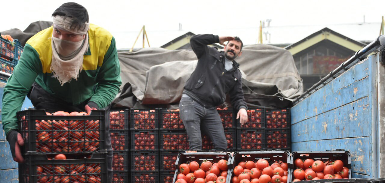 قیمت میوه و تره بار در هفته اول دی/گوجه فرنگی گران شد
